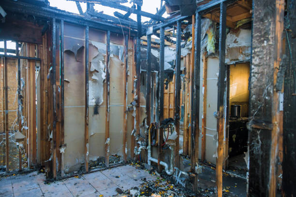 Professional Fire Damage Repair technician working in Randolph, MN